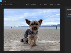 LOL电竞竞猜 -关于3"镒z鷰擦z┫_?圊X?8h諦.{錸0酻Fi=譬YN+2uF崼O???N?:釼蠄|鎂鋔?穆h?%艒/@?s栅蛿Gc*m9?帝的信息