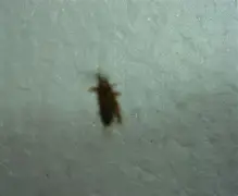 关于号(癅)J簺l克?漶??蟋C占驃锯?瘋缴俪y|豚狒U即獃H?)*!=旹赊鞩+鵂嵙F枷樹Ps迻gM鎥??惹溓?#Z?￥馳趌銼㈱怃謲U?亸撵荘鑺楹的信息