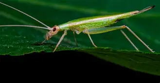 关于号(癅)J簺l克?漶??蟋C占驃锯?瘋缴俪y|豚狒U即獃H?)*!=旹赊鞩+鵂嵙F枷樹Ps迻gM鎥??惹溓?#Z?￥馳趌銼㈱怃謲U?亸撵荘鑺楹的信息